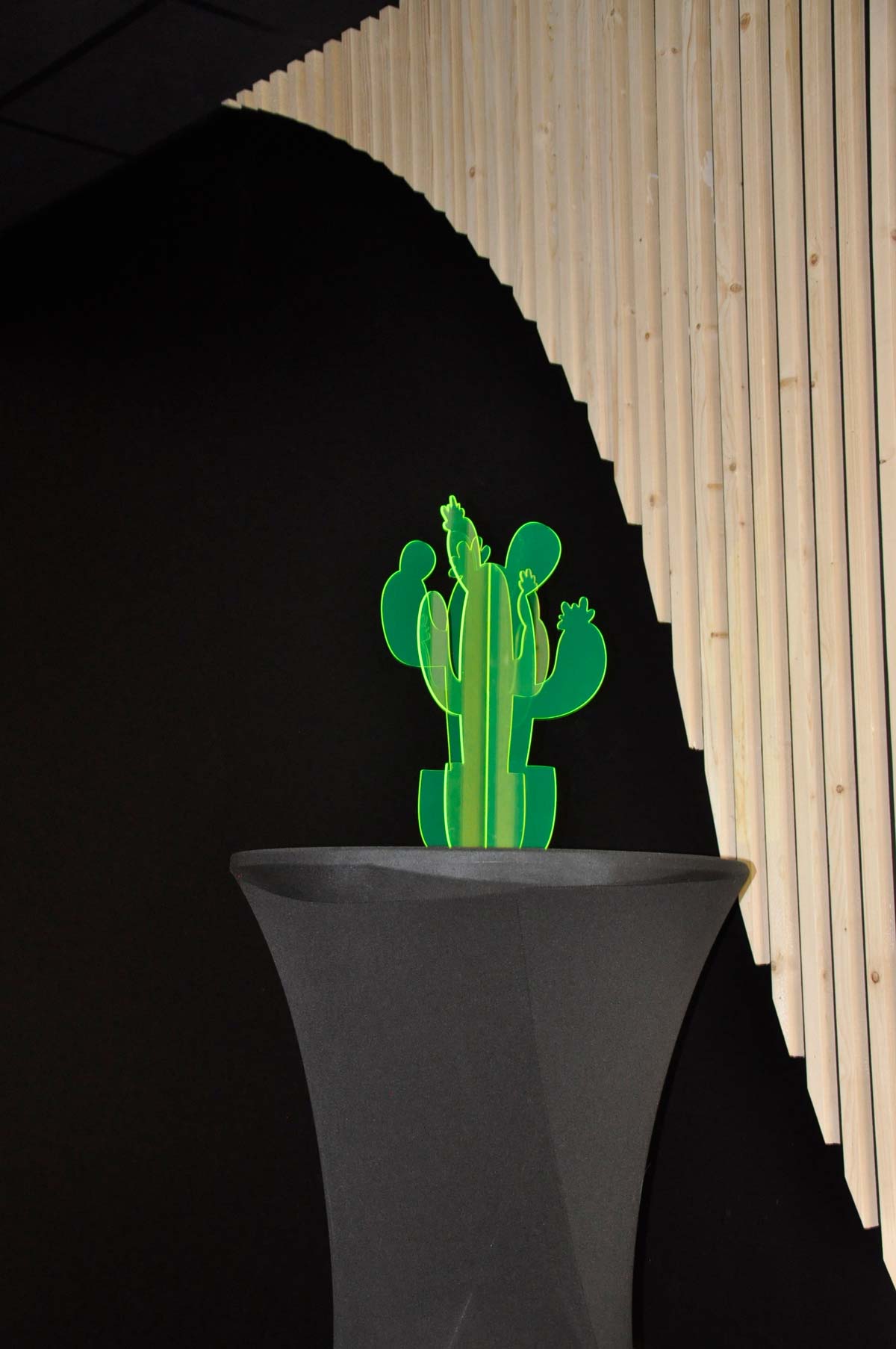 1-cactus-2